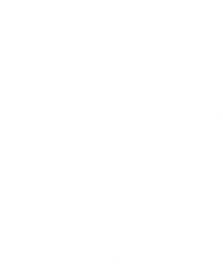 DS-Logo